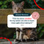 Antinol Plus For Cats