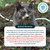 Antinol Plus For Cats