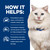 Hill's Prescription Diet c/d Multicare Stress Urinary Care Dry Cat Food - How it Helps