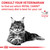 Royal Canin Veterinary Diet Feline Gastrointestinal Hairball Dry Cat Food