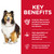 Hill's Science Diet Sensitive Stomach & Skin Adult Dry Dog Food