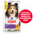 Hill's Science Diet Sensitive Stomach & Skin Adult Dry Dog Food