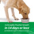 TropiClean Fresh Breath Dental Health Solution Water Additive Plus Digestive Support For Pets (473ml bottle)