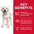 Hill's Science Diet Light Adult Large Breed Dry Dog Food - 12kg bag (10318HG)
