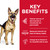 Hill's Science Diet Senior Adult 6+ Large Breed Dry Dog Food - 12kg bag (10338HG)