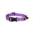 Rogz Classic Collar Purple