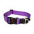 Rogz Classic Collar Purple