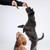 Bell & Bone Dental Sticks For Dogs - Lamb, Mint & Manuka Honey