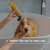 Rufus & Coco Flea Flee Shampoo For Dogs & Cats (200ml bottle)