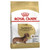 Royal Canin Dachshund Adult Dry Dog Food - Front