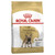 Royal Canin French Bulldog Adult Dry Dog Food - Front
