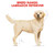 Royal Canin Labrador Adult Dry Dog Food - Breed
