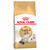 Royal Canin Ragdoll Adult Dry Cat Food - Front