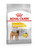 Royal Canin Medium Dermacomfort Adult Dry Dog Food - Front