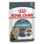 Royal Canin Hairball Care Gravy Wet Cat Food 
