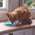 Beco Eco-Friendly Cat Bowl - in Blue