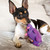 KONG Phatz Hippo Plush Toy For Dogs