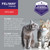 Feliway Friends Diffuser & Refill Set (48ml)