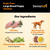 SavourLife Grain Free Australian Chicken Large Breed Puppy Dry Dog Food (15kg)