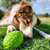SodaPup Dinosaur Egg Chew Toy For Dogs