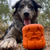 SodaPup Jack O'Lantern Chew Toy For Dogs