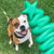 SodaPup Nylon Christmas Tree  Chew Toy for Dogs