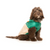 FuzzYard Ormond Raincoat Green/Beige for Dogs
