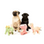 FuzzYard Stannis the Stegosaurus Plush Toy for Dogs