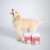Bell & Bone Big Puppy Beef Dental Chews For Dogs (7 Sticks)