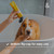 Rufus & Coco Itch Relief Shampoo For Cats & Dogs 200mL