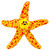 Outward Hound Floatiez Starfish Floating Dog Toy (Medium)