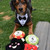 DoggyTopia Poker Club Green Poker Chips Plush Dog Toy