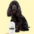 DOG By Dr Lisa Sensitive Leave In Conditioner