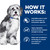Hill's Prescription Diet ONC Care Dry Dog Food