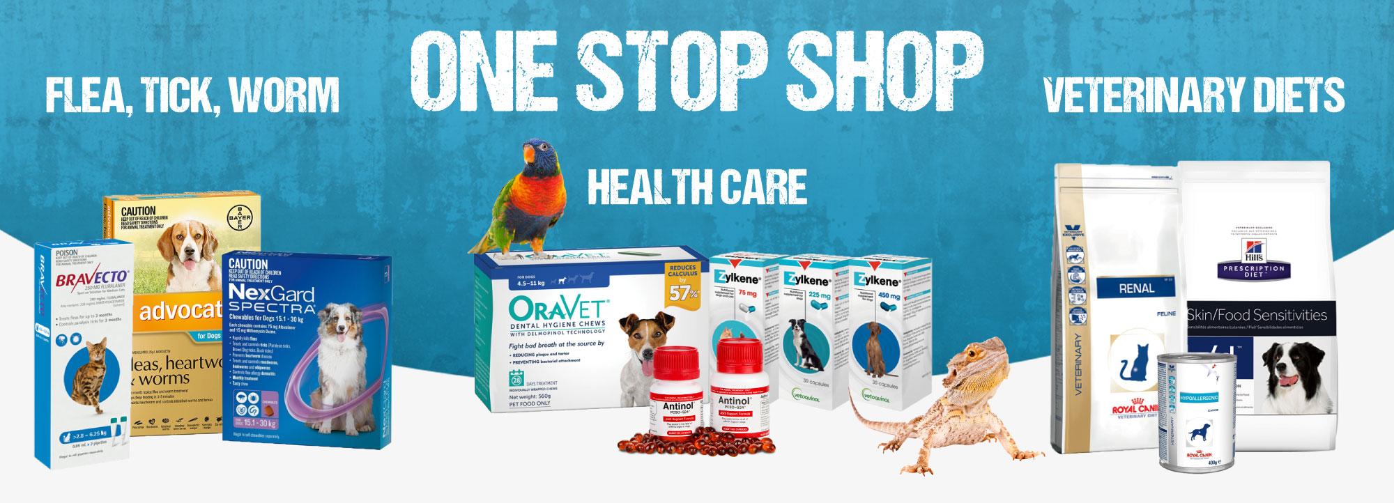 pets supplies online shop