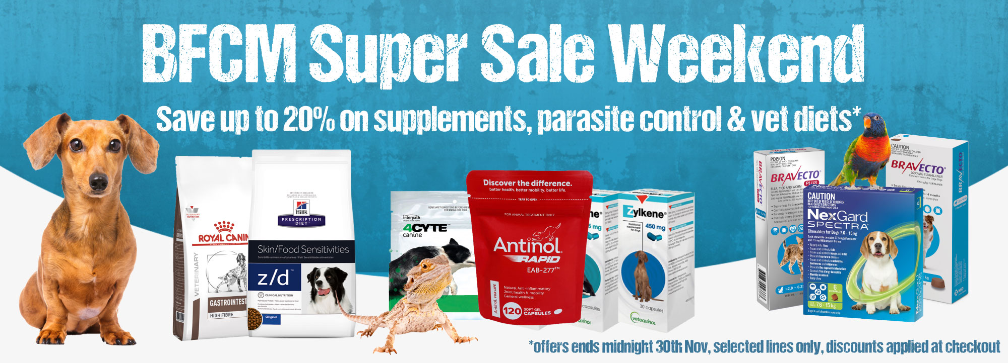 apoquel online pet pharmacy