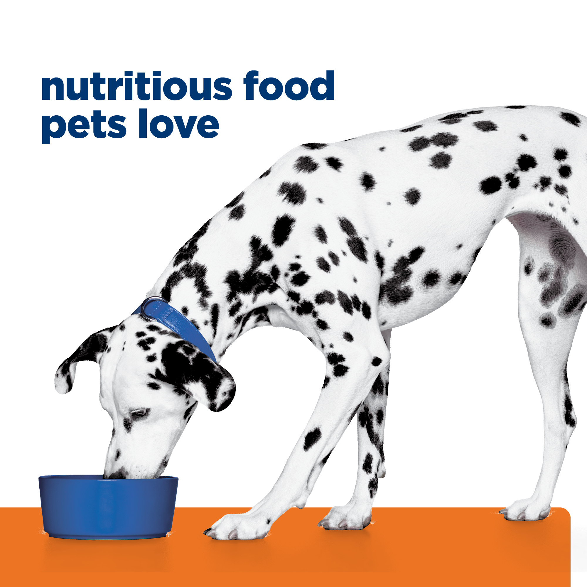 Hill's Prescription Diet u/d Urinary Care Wet Dog Food 12 x 370g cans