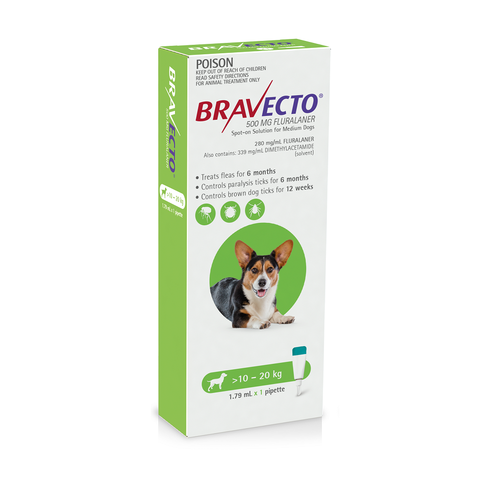 bravecto medium dog