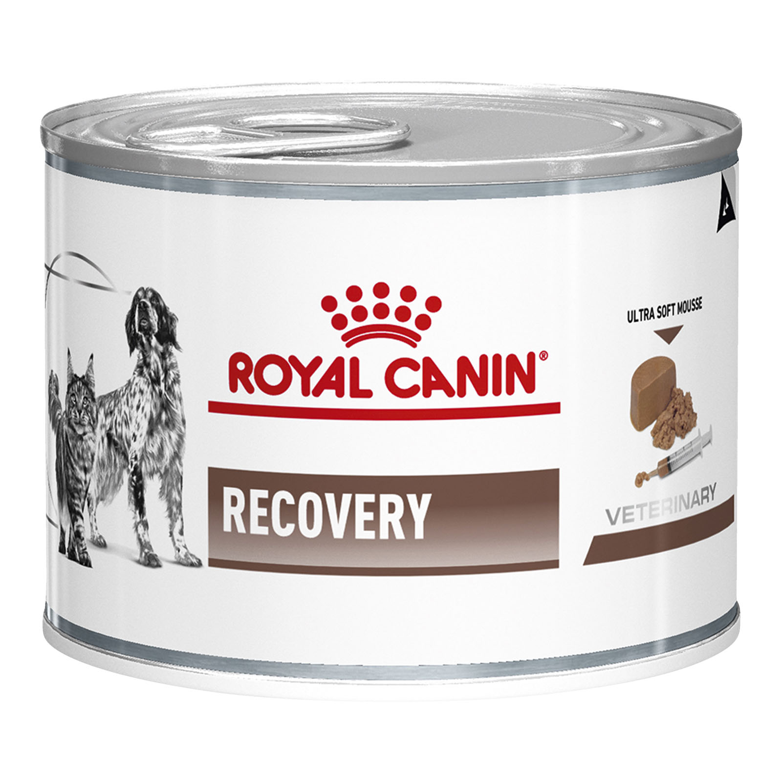 royal canin recovery kitten