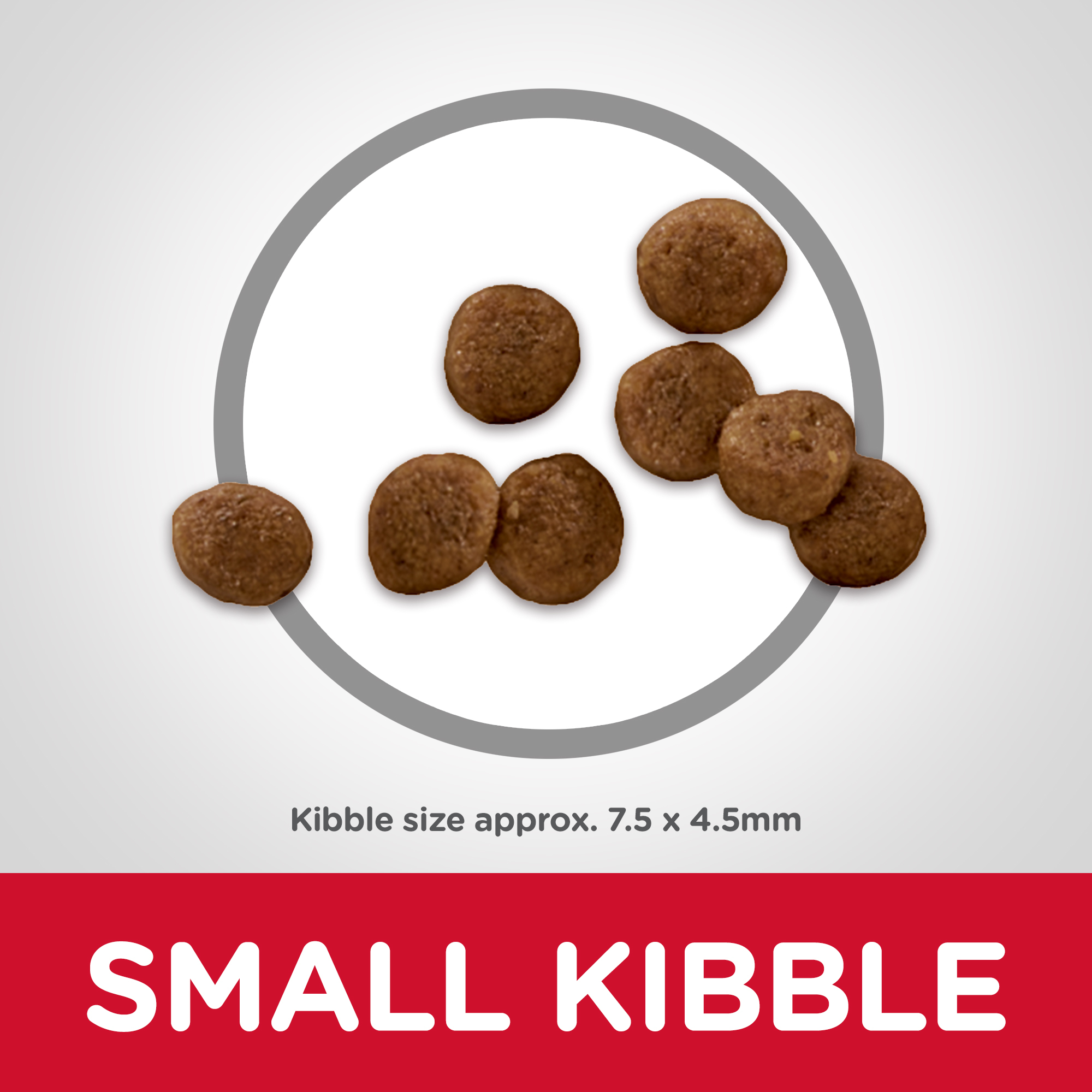 Hill's Science Diet Small Paws Puppy Food 1.5kg bag (603830)