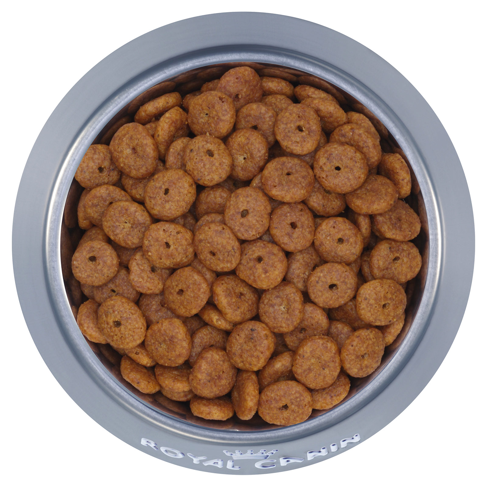 1,5 Kg ROYAL CANIN Mini Ageing 12+ – Trockenfutter Für Kleine Senioren-Hunde Ab 12 Jahren