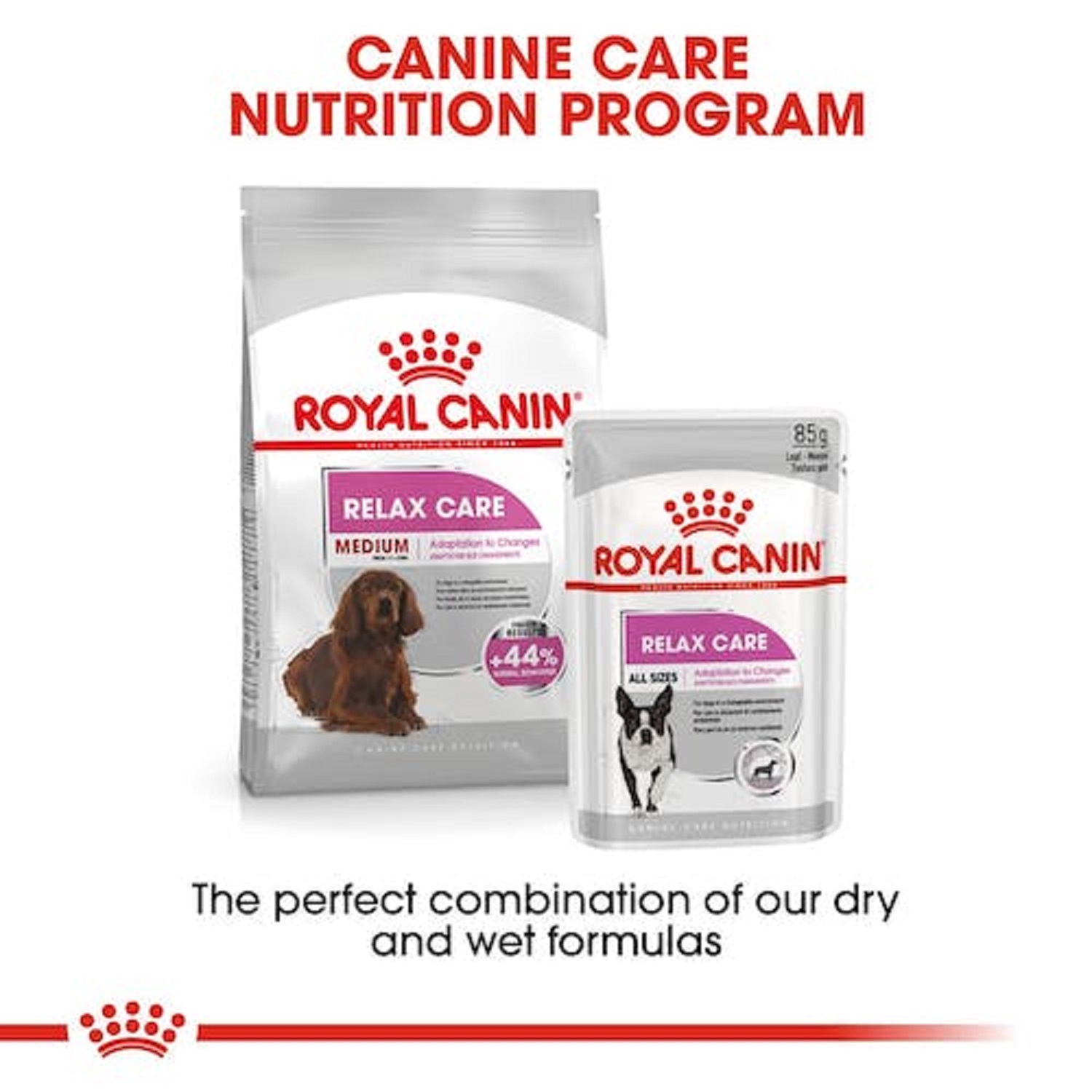 royal canin relax care medium