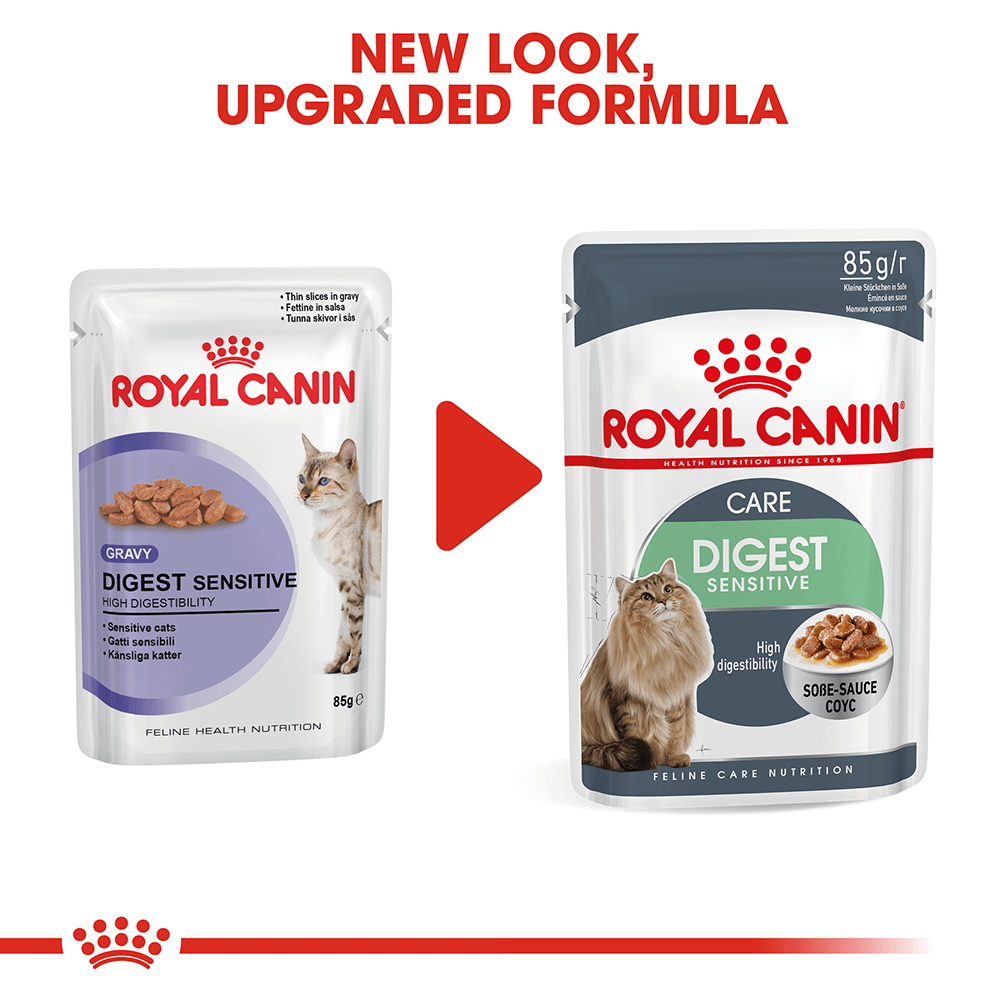 Royal Canin Digestive Sensitive Care Gravy Wet Cat Food - 12 x 85g ...