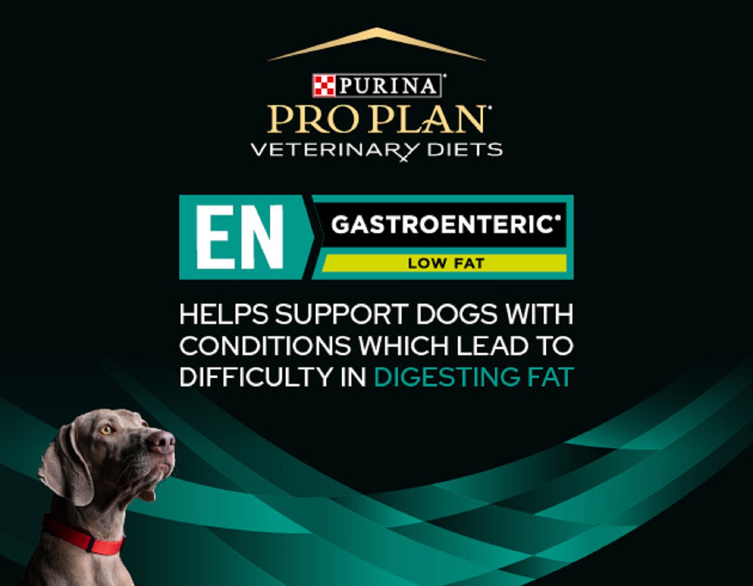 Pro Plan Veterinary Diets EN Gastroenteric Low Fat Wet Dog Food (12 x