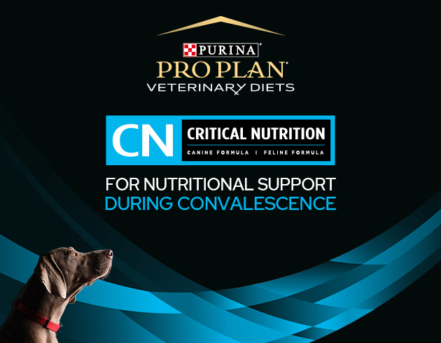 Pro Plan Veterinary Diets CN Critical Nutrition Wet Cat & Dog Food (24 ...