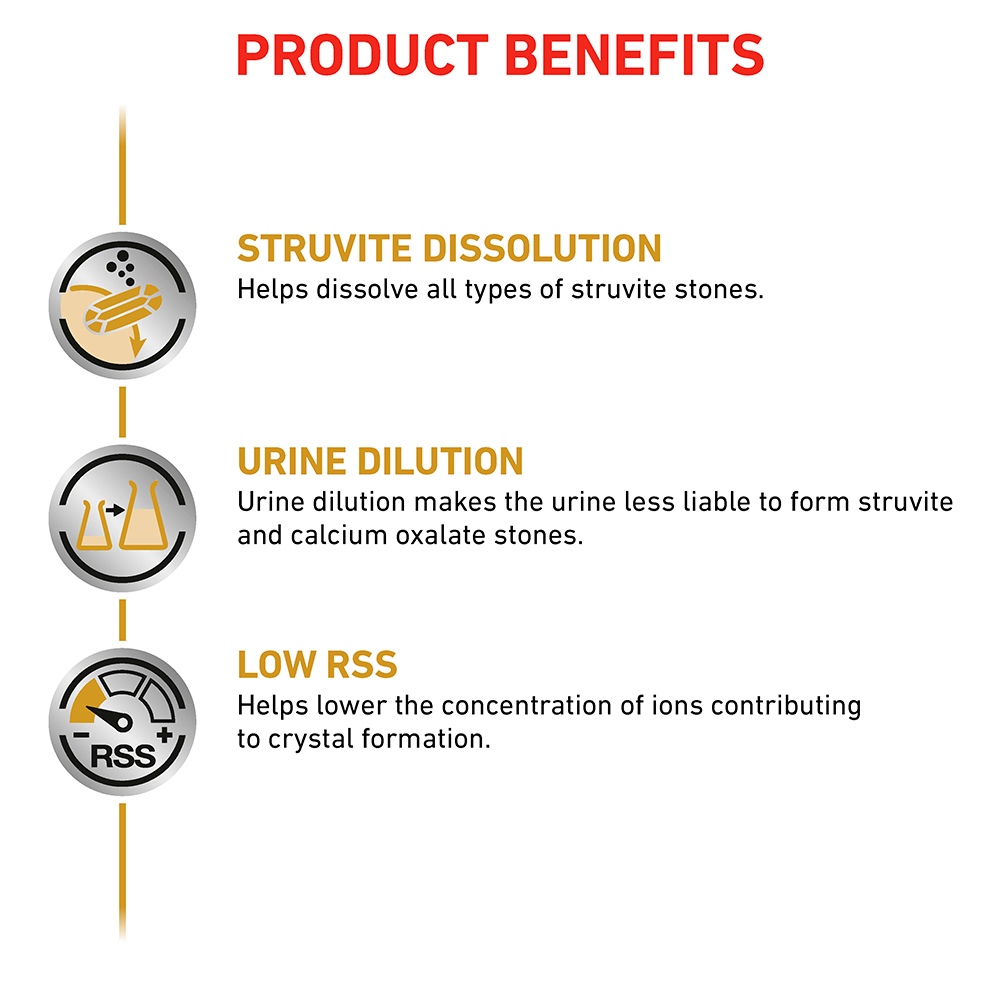 Why Is My Dogs Urine So Diluted