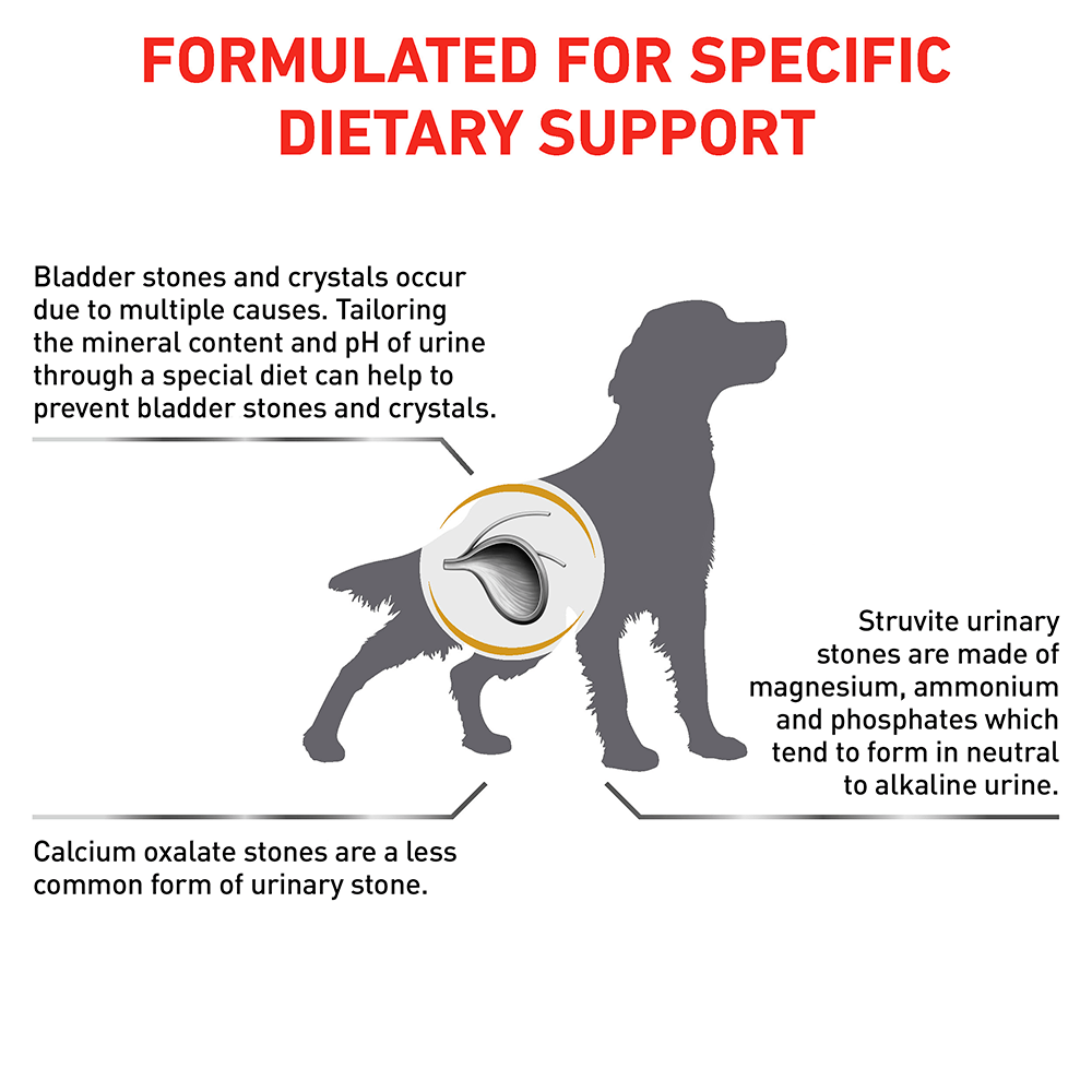 what foods cause struvite crystals in dogs