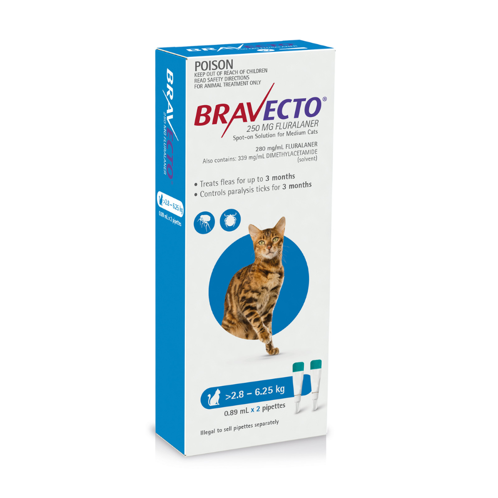 Bravecto is sales it safe