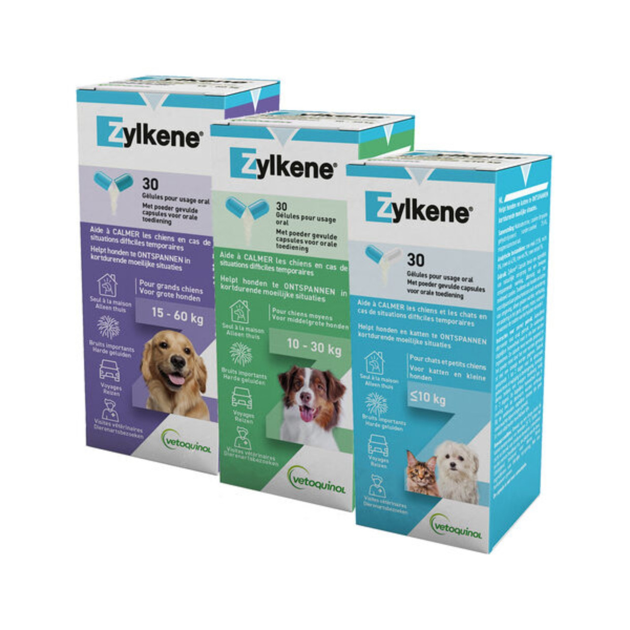 Zylkene Anxiety & Behaviour Capsules