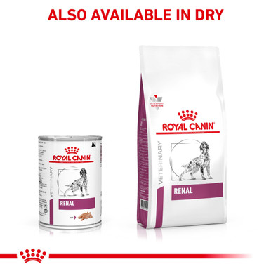 Royal Canin Veterinary Diet Canine Renal Wet Dog Food Cans - 12 x 410g